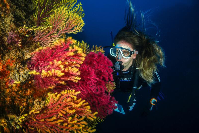 Picture of woman scuba diver swimming past bright red and yellow coral in Hervey Bay.